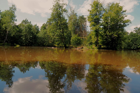 Wasserspiegelung &ndash; (11.08.2019, U. Buescher &copy;&nbsp;VGN GmbH)