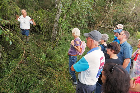 Walderklärung &ndash; (11.08.2019, U. Buescher &copy;&nbsp;VGN GmbH)