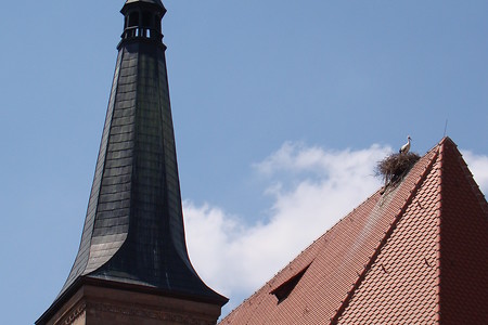 Storchennest auf der Stadtkirche &ndash; (04.02.2016, VGN &copy;&nbsp;VGN GmbH)