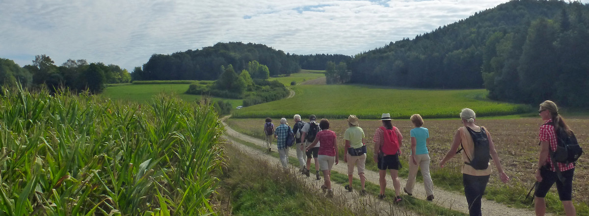 Hinter Neukirchen &ndash;  (29.08.2015, VGN &copy;&nbsp;VGN GmbH)