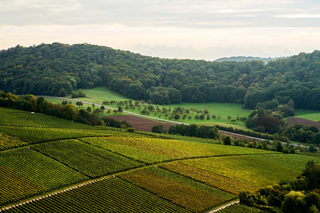 Weinland &ndash; (05.10.2021, U. Buescher &copy;&nbsp;VGN GmbH)