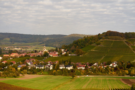 Weinhang &ndash; (17.10.2021, U. Buescher &copy;&nbsp;VGN GmbH)