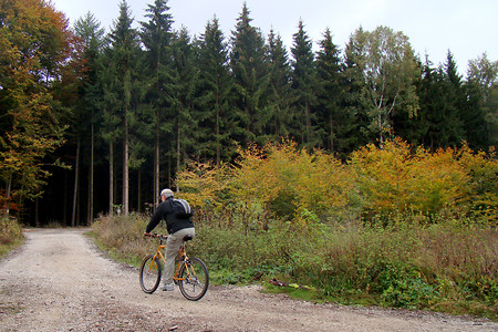 Radweg im Ottinger Wald &ndash; (VGN &copy;&nbsp;VGN GmbH)