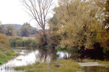 die Wörnitz &ndash; (VGN &copy;&nbsp;VGN GmbH)