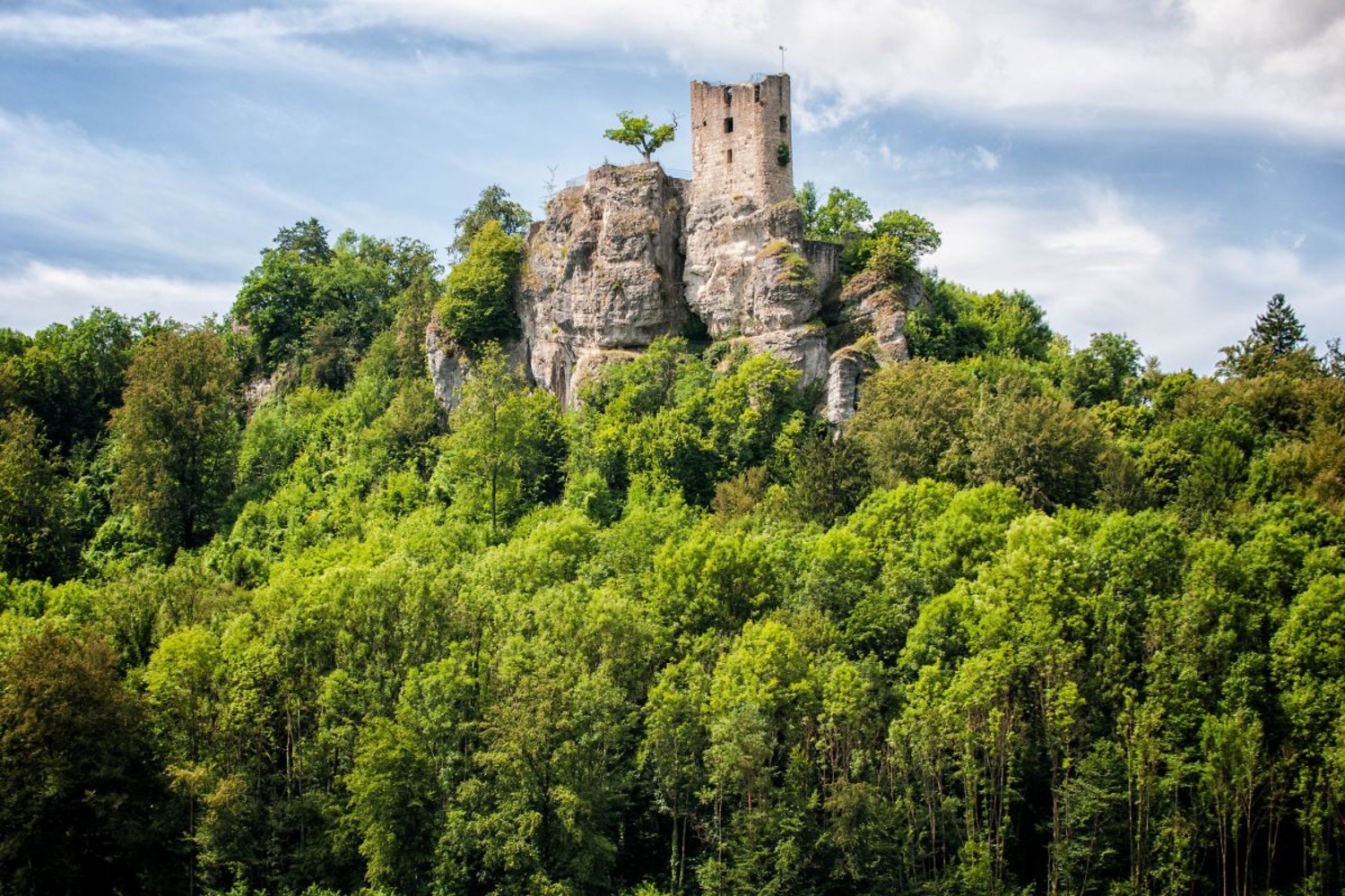 Burgruine Neideck &ndash;  (Florian Trykowski &copy;&nbsp;Franken Tourismus)