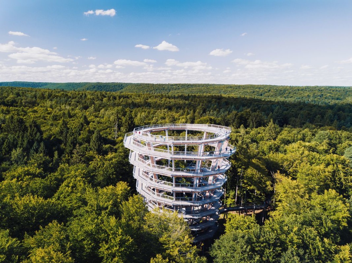 Baumwipfelpfad &ndash;  (Thomas Glomm &copy;&nbsp;Franken Tourismus)