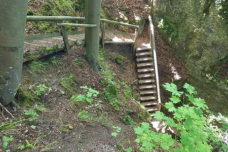 Abstieg Felsensteig bei Gößweinstein &ndash; (23.08.2019, S. Dassler &copy;&nbsp;VGN GmbH)