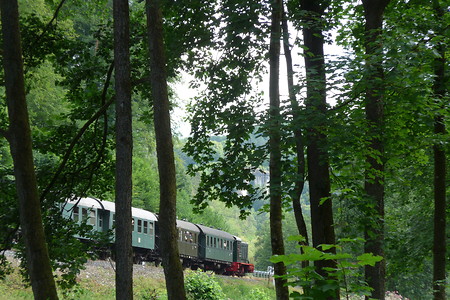 Museumsbahn &ndash; (23.08.2019, G. Härer &copy;&nbsp;VGN GmbH)