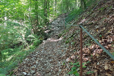 Felsensteig &ndash; (23.08.2019, S. Dassler &copy;&nbsp;VGN GmbH)