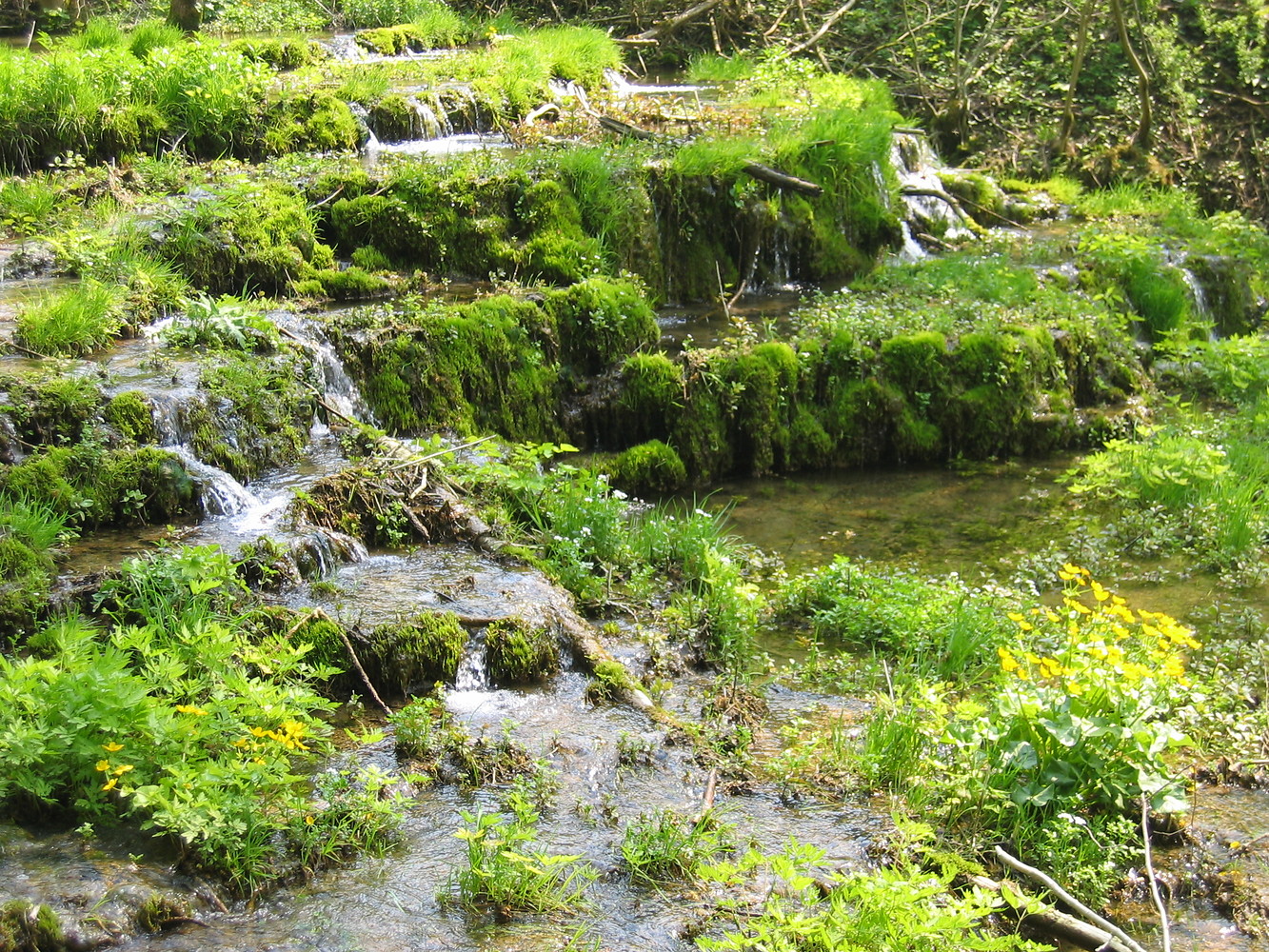 Sinterterrassen &ndash;  (VGN &copy;&nbsp;VGN GmbH)