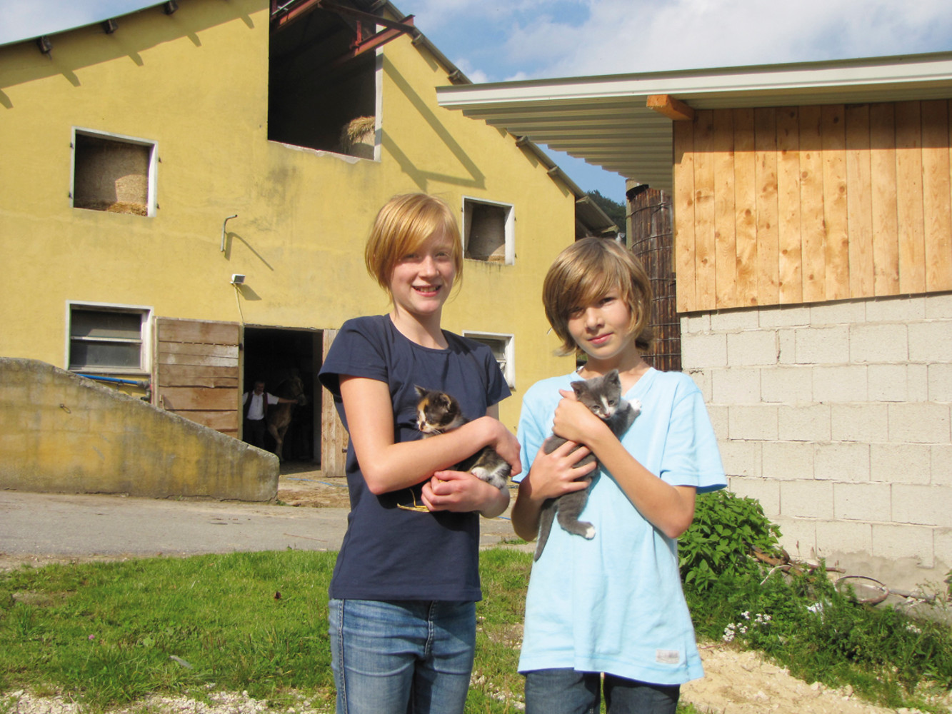 Katzen &ndash;  (25.09.2011, VGN &copy;&nbsp;VGN GmbH)