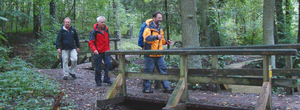 Im Mischwald &ndash;  (VGN &copy;&nbsp;VGN GmbH)