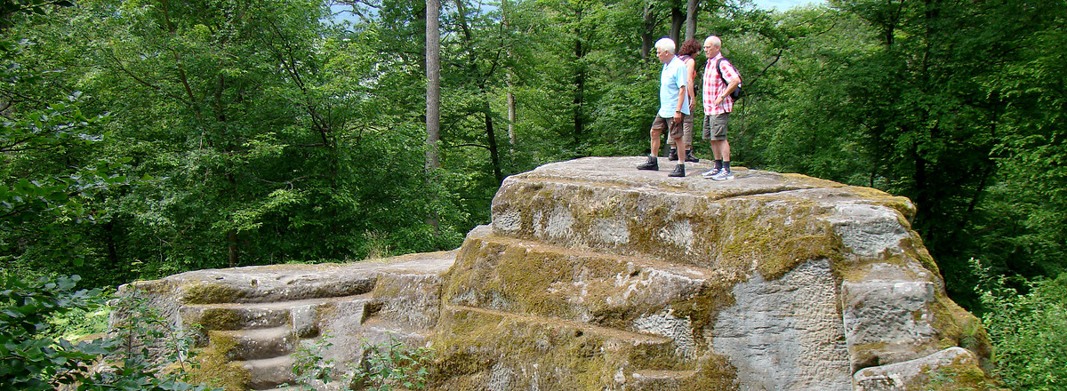 Burgruine in den Hassbergen &ndash;  (11.06.2010, VGN &copy;&nbsp;VGN GmbH)