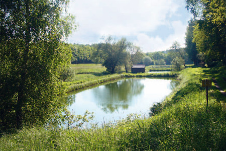 Filet 3 - Weiher &ndash; (up3 &copy;&nbsp;up3)