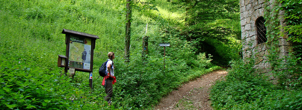 Naturschutzzentrum Wengleinpark &ndash;  (28.05.2012, VGN &copy;&nbsp;VGN GmbH)