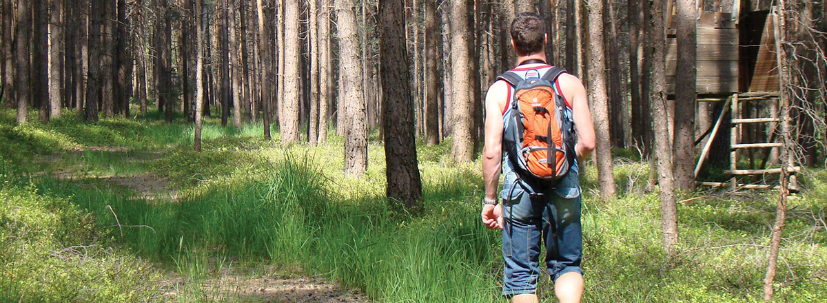 Im Wald vor Lindenhardt &ndash;  (VGN &copy;&nbsp;VGN GmbH)