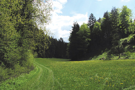 Wiesengrund &ndash; (VGN &copy;&nbsp;VGN GmbH)