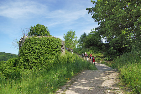 Vorhof zur Burgruine Neideck &ndash; (25.05.2014, VGN &copy;&nbsp;VGN GmbH)