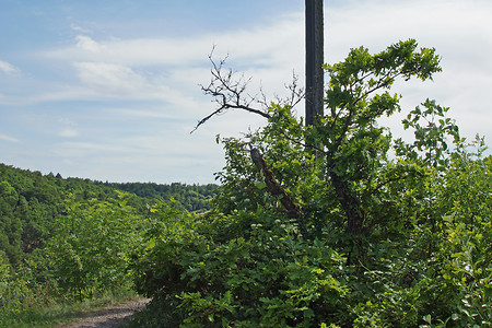 Gipfelkreuz &ndash; (25.05.2014, VGN &copy;&nbsp;VGN GmbH)