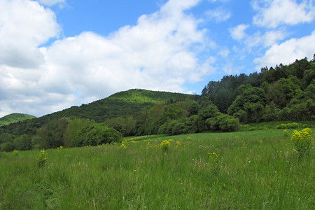 Blick zum Zuckerhut &ndash; (15.05.2014, VGN &copy;&nbsp;VGN GmbH)