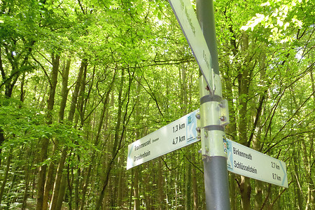 Schilderwald &ndash; (25.05.2014, VGN &copy;&nbsp;VGN GmbH)