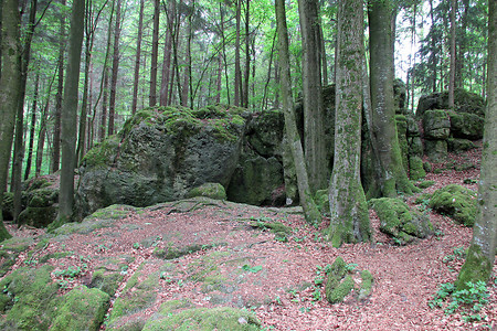 Druidenhain &ndash; (24.05.2014, VGN &copy;&nbsp;VGN GmbH)