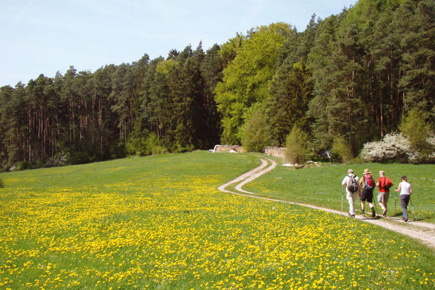 Talgrund "Ziegelleite" &ndash;  (VGN &copy;&nbsp;VGN GmbH)