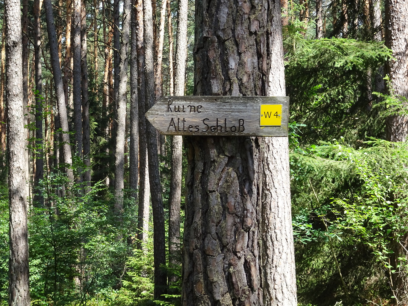 Wegweiser zum alten Schloss &ndash;  (18.02.2019, VGN S.Daßler &copy;&nbsp;VGN GmbH)