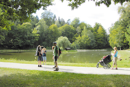 Der Herzogweiher mit Enten und schwarzen Schwänen &ndash; (08.09.2012, VGN &copy;&nbsp;VGN GmbH)