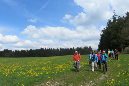 Waldwiese vor Döllwang &ndash; (22.05.2016, VGN &copy;&nbsp;VGN GmbH)