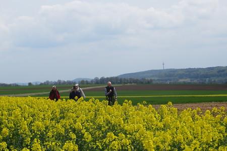 Blick zum Göschberg &ndash; (14.02.2017, VGN &copy;&nbsp;VGN GmbH)