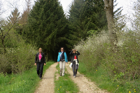 Hinunter nach Roßthal &ndash; (22.05.2016, VGN &copy;&nbsp;VGN GmbH)