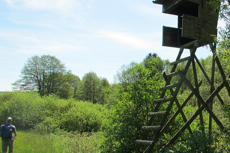 Nach Roßthal &ndash; (22.05.2016, VGN &copy;&nbsp;VGN GmbH)