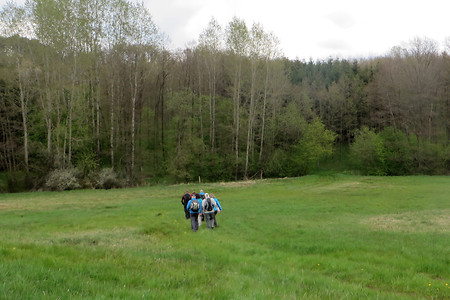 Zum Durchlass vor der Bäckermühle &ndash; (22.05.2016, VGN &copy;&nbsp;VGN GmbH)