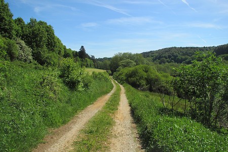 Im Tal der Weißen Laber &ndash; (22.05.2016, VGN &copy;&nbsp;VGN GmbH)