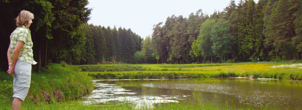 Blick über die Weiher Richtung Aurachquelle &ndash;  (VGN &copy;&nbsp;VGN GmbH)