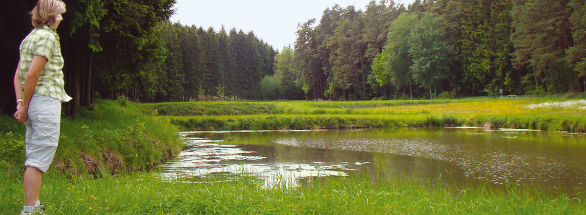 Blick über die Weiher Richtung Aurachquelle &ndash;  (VGN &copy;&nbsp;VGN GmbH)