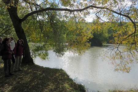 Am Wolfsee &ndash; (10.11.2016, VGN &copy;&nbsp;VGN GmbH)