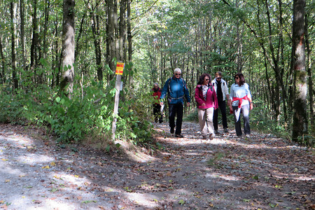 Waldpassage &ndash; (10.11.2016, VGN &copy;&nbsp;VGN GmbH)