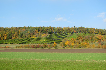 Sugenheimer Weinhänge &ndash; (10.11.2016, VGN &copy;&nbsp;VGN GmbH)