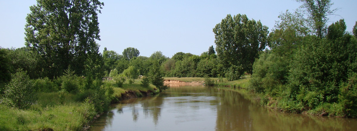 Im Pegnitzgrund bei Fürth &ndash;  (VGN &copy;&nbsp;VGN GmbH)