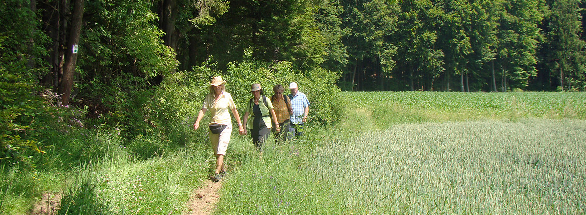 Unterwegs &ndash;  (01.07.2015, VGN &copy;&nbsp;VGN GmbH)