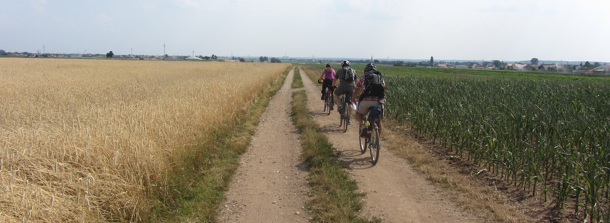 Rückweg nach Eltersdorf &ndash;  (VGN &copy;&nbsp;VGN GmbH)