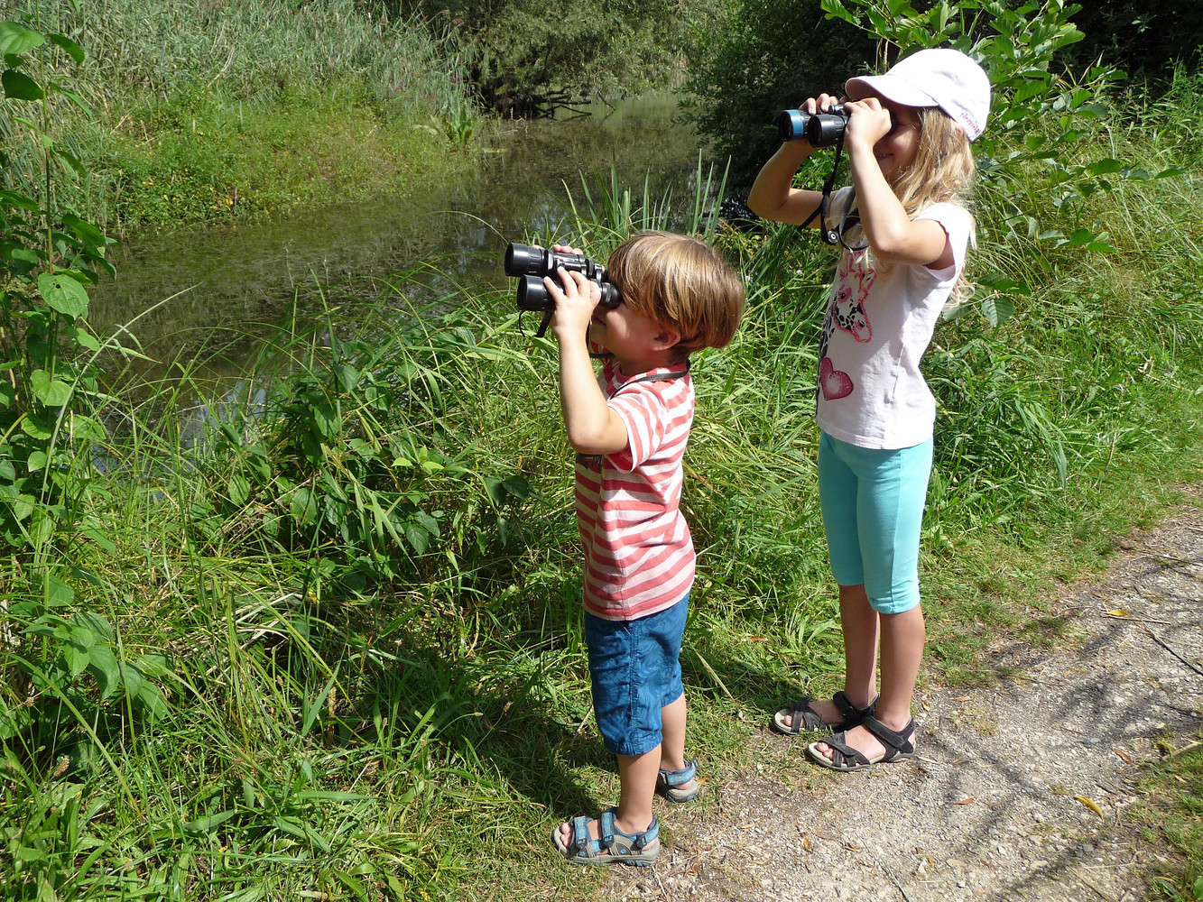 Beobachtungen &ndash;  (29.09.2015, LBV &copy;&nbsp;LBV)