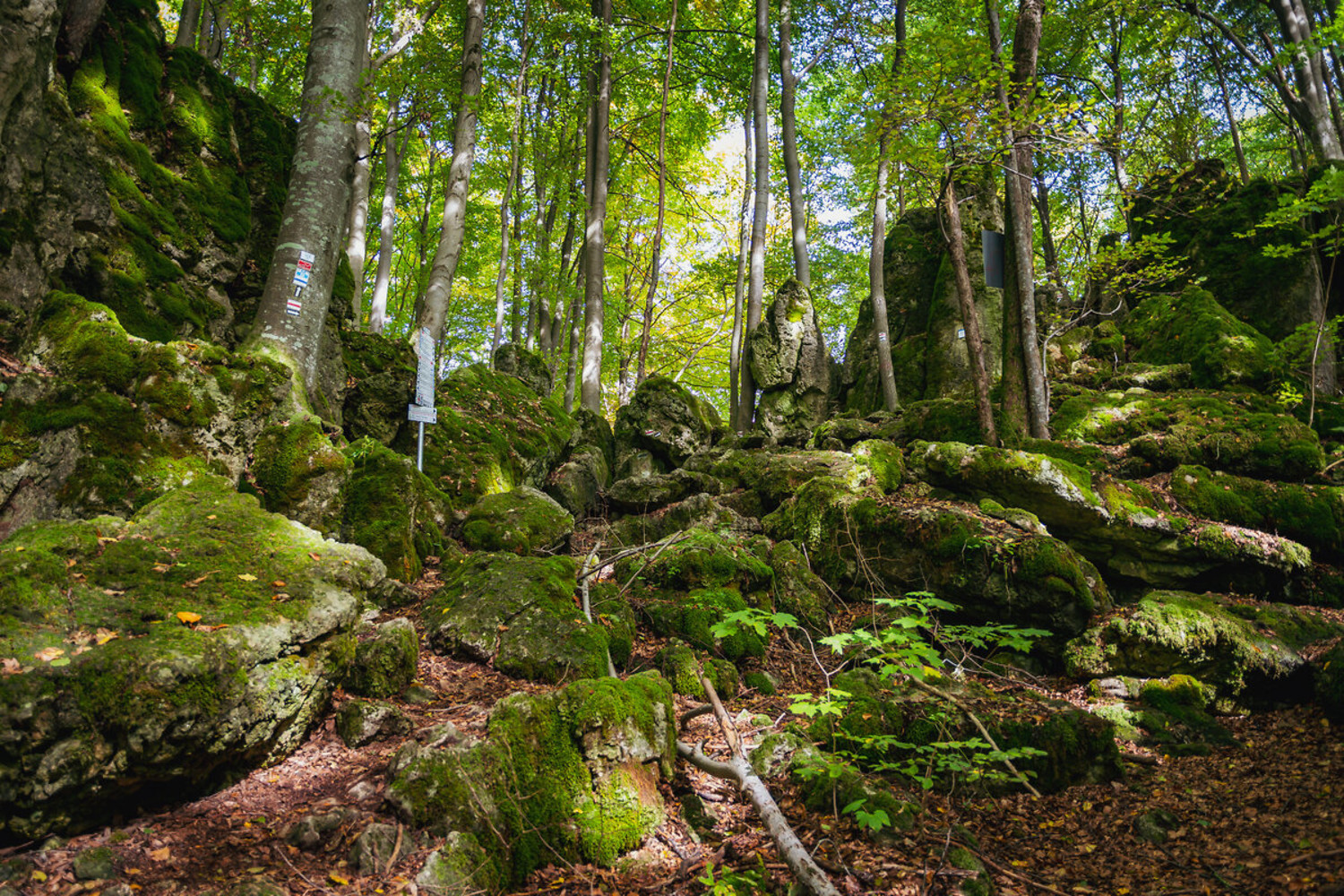 Einstieg zum Eigbrat &ndash;  (05.10.2022, VGN &copy;&nbsp;VGN GmbH)