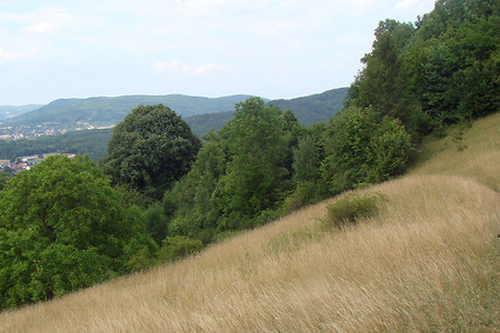 Runter nach Kirchehrenbach &ndash; (VGN &copy;&nbsp;VGN GmbH)