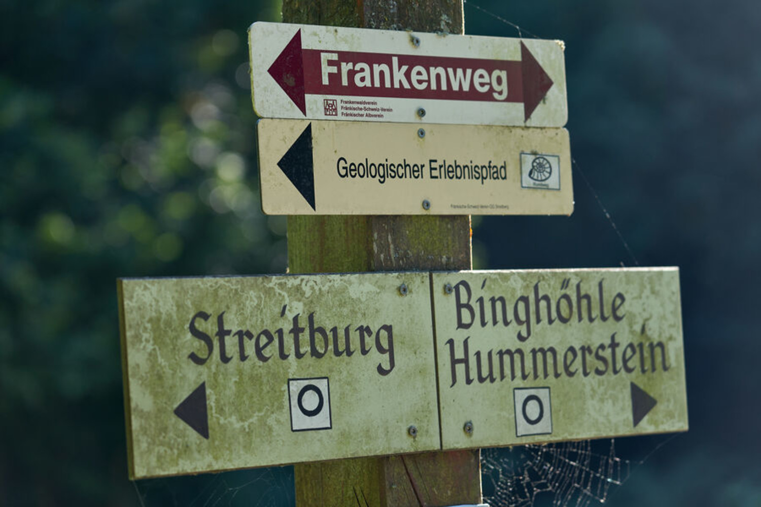 Wegweiser &ndash;  (10.10.2022, Ulrich Büscher &copy;&nbsp;VGN)