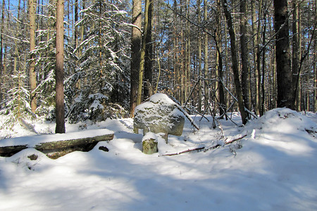 Steinkreuz &ndash; (10.02.2013, VGN &copy;&nbsp;VGN GmbH)