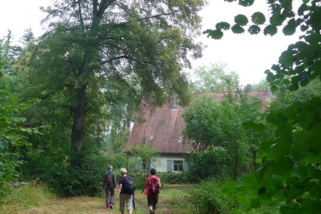 Nach Tanzenhaid &ndash; (18.02.2019, Gertrud Härer &copy;&nbsp;Gertrud Härer)