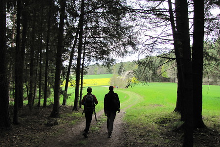 Aus dem Veldensteiner Forst heraus &ndash; (01.05.2016, VGN &copy;&nbsp;VGN GmbH)